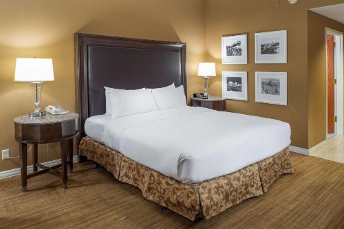 Hilton St. Louis Airport - image 30