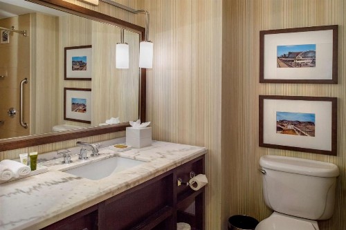 Hilton St. Louis Airport - image 33
