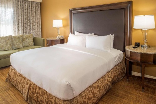 Hilton St. Louis Airport - image 37