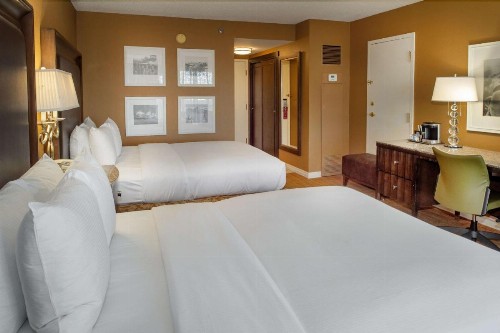 Hilton St. Louis Airport - image 38