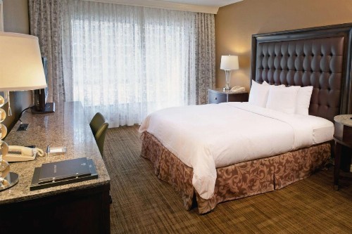 Hilton St. Louis Airport - image 41