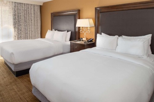 Hilton St. Louis Airport - image 45