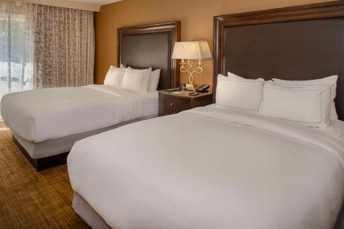 Hilton St. Louis Airport - image 48