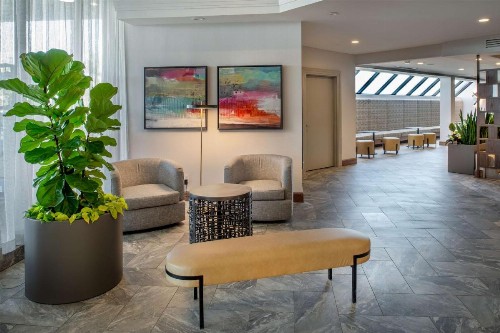 Hilton St. Louis Airport - image 9