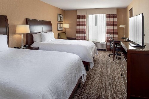 Hilton Garden Inn St. Louis Airport - image 9