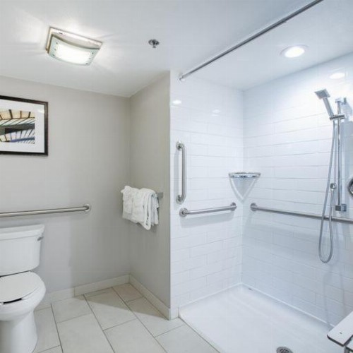 Holiday Inn St Louis Sw - Route 66 - image 10