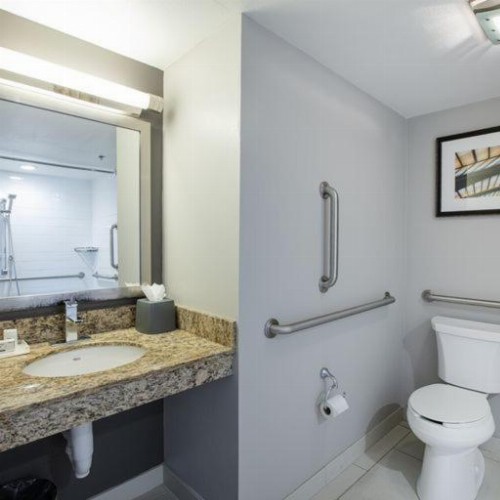 Holiday Inn St Louis Sw - Route 66 - image 11