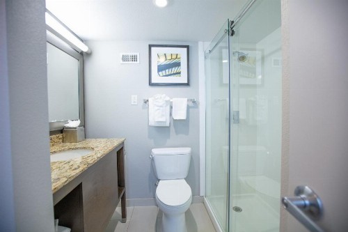 Holiday Inn St Louis Sw - Route 66 - image 30