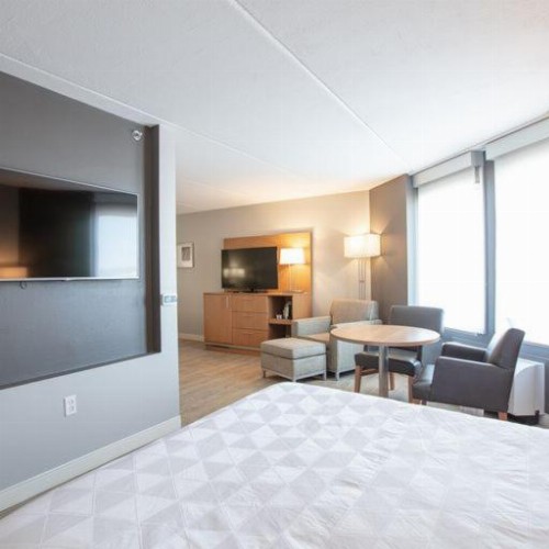 Holiday Inn St Louis Sw - Route 66 - image 9