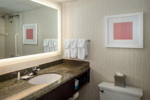 Marriott St. Louis Airport - image 18