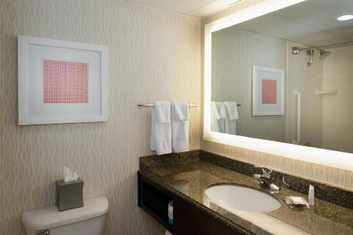 Marriott St. Louis Airport - image 19
