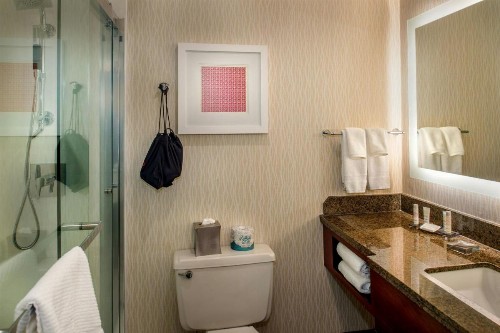 Marriott St. Louis Airport - image 28