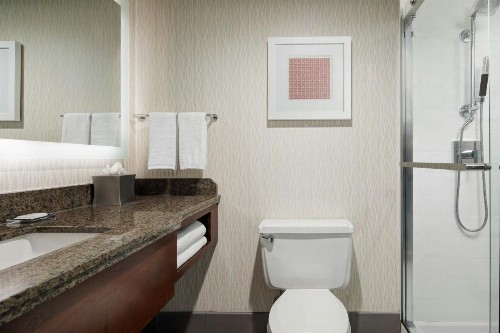 Marriott St. Louis Airport - image 30