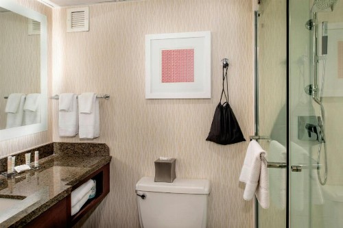 Marriott St. Louis Airport - image 49