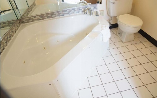 Americas Best Value Inn St. Louis / South - image 21