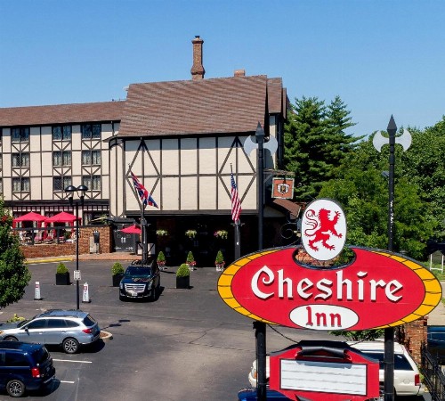 The Cheshire - image 17