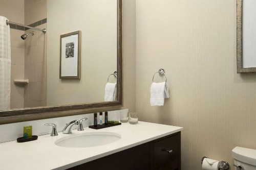 Embassy Suites Saint Louis - Downtown - image 10
