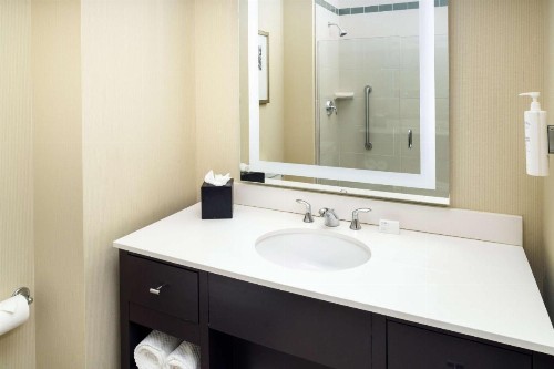 Embassy Suites Saint Louis - Downtown - image 16
