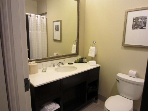 Embassy Suites Saint Louis - Downtown - image 17