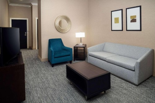 Embassy Suites Saint Louis - Downtown - image 20