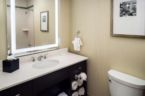 Embassy Suites Saint Louis - Downtown - image 42