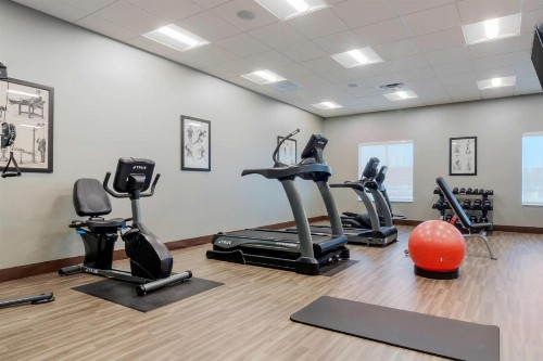 Best Western Plus St. Louis Airport Hotel - image 19