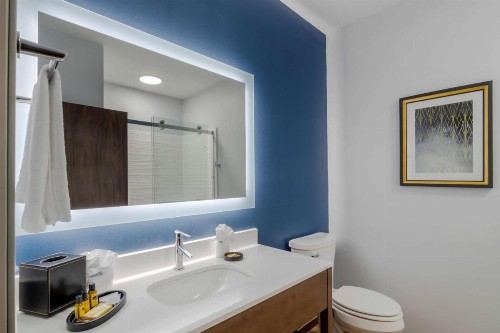 Best Western Plus St. Louis Airport Hotel - image 27
