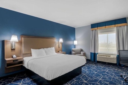 Best Western Plus St. Louis Airport Hotel - image 33