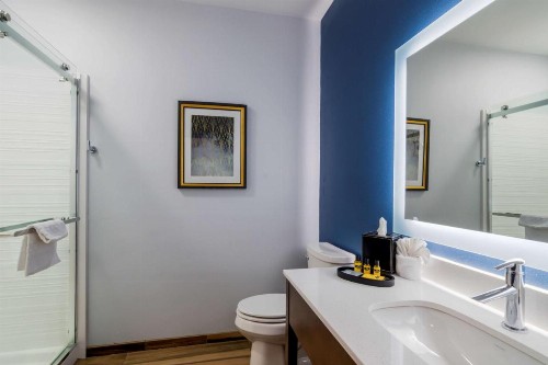 Best Western Plus St. Louis Airport Hotel - image 35