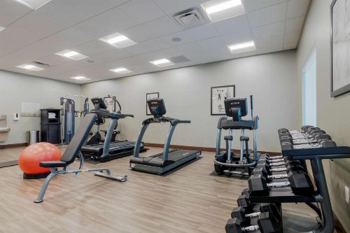Best Western Plus St. Louis Airport Hotel - image 8