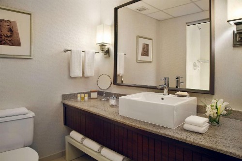 Hyatt Regency Saint Louis at The Arch - image 12