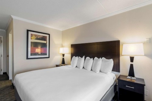 Best Western Kirkwood Inn - image 19