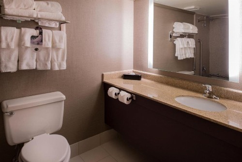 Holiday Inn St Louis Downtown/Convention Center an IHG Hotel - image 23