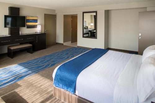 Holiday Inn St Louis Downtown/Convention Center an IHG Hotel - image 50
