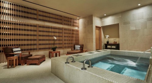Four Seasons St. Louis - image 22