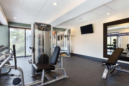 Hampton Inn and Suites Clayton/St. Louis-Galleria Area - image 35