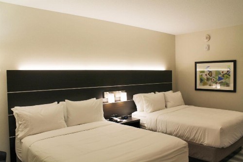 Holiday Inn Express & Suites - St. Louis South - I-55 an IHG Hotel - image 9
