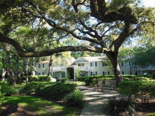 Ocean Walk Resort 2/2 - image 6