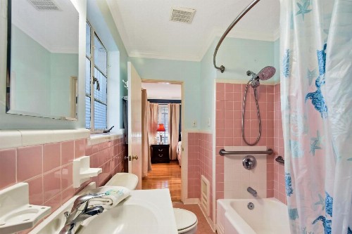 The Pink House - image 19