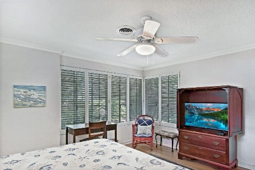 The Pink House - image 20