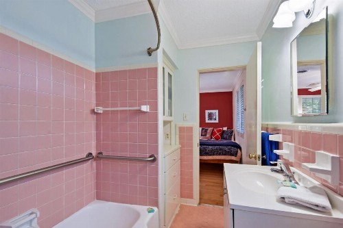 The Pink House - image 23