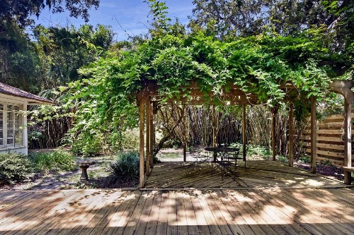 The Pink House - image 25
