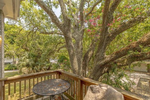 Olive Way 106 - image 3
