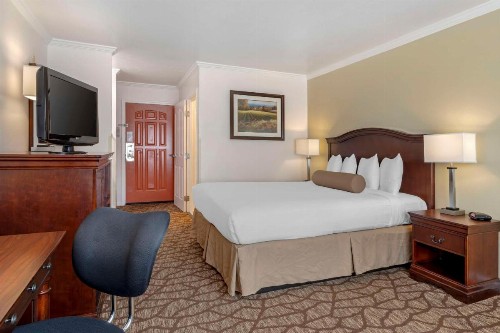 Best Western Salinas Monterey - image 21
