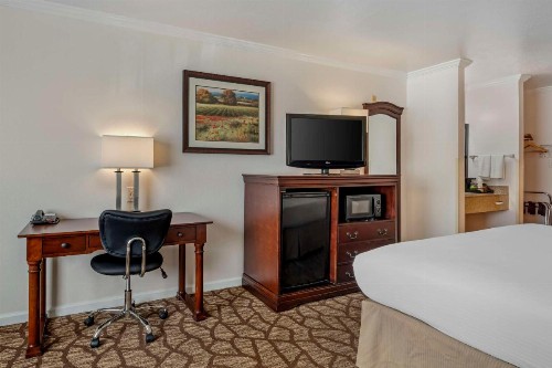 Best Western Salinas Monterey - image 23