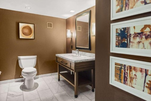 Hilton Salt Lake City Center - image 45