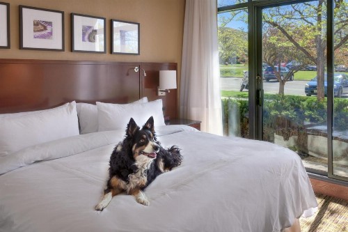 Salt Lake City Marriott University Park - image 35