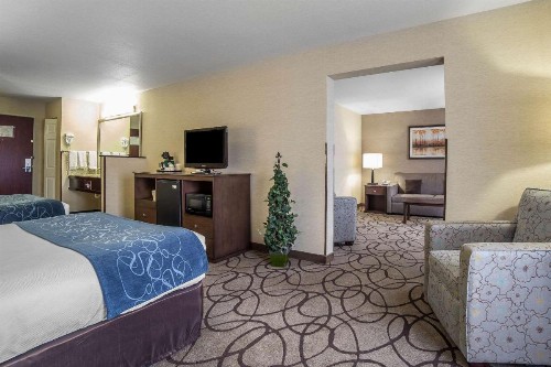Comfort Suites Airport Salt Lake City - image 15