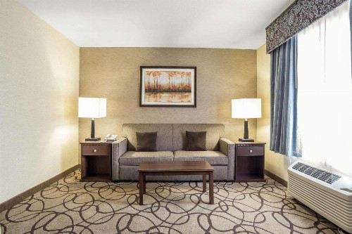 Comfort Suites Airport Salt Lake City - image 16