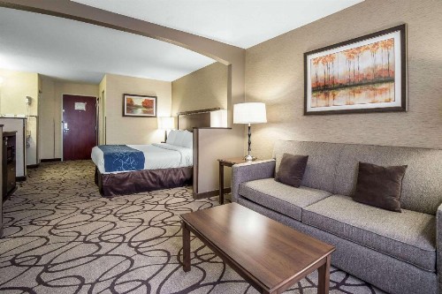 Comfort Suites Airport Salt Lake City - image 22